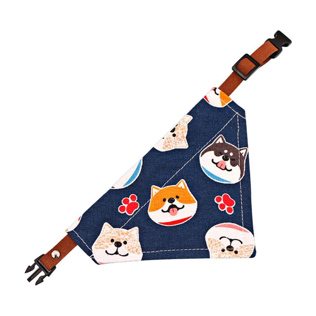 Banjo