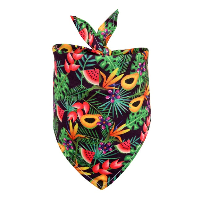 Tropical