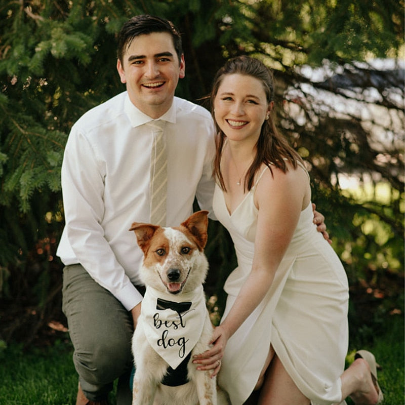 Wedding Groom - Best Dog